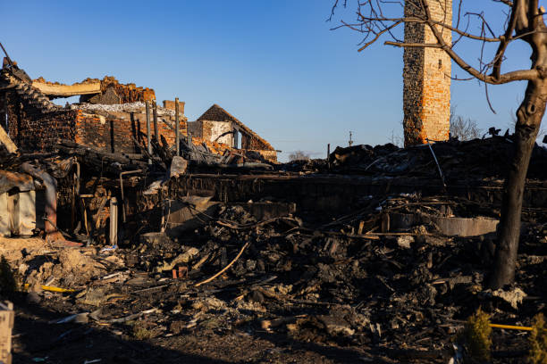 Reliable Board Up Services contractor in Spring Valley, AZ by Fire Damage Doption
