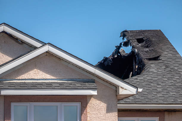 Top rated local Board Up Services specialists in Spring Valley, AZ